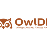 OwlDB 출시